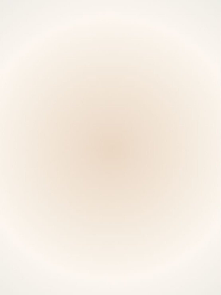 Butter Almond Cookies